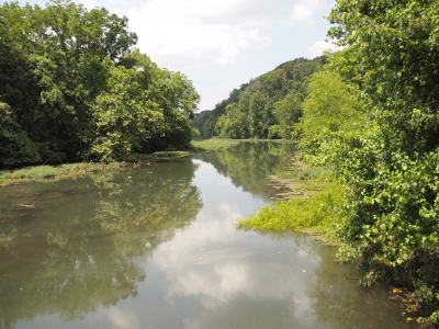 [Sun is shining brightly in this area and everything above the water is reflected in it.]